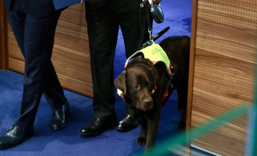 За първи път: куче-водач ще е част от НС
