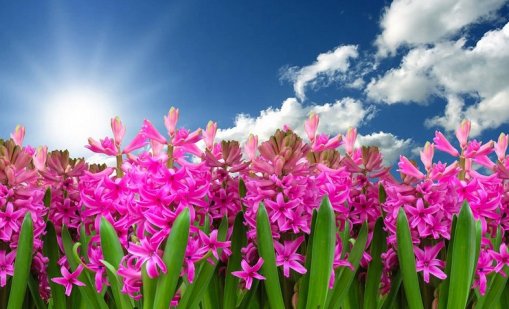 Слънчево ще е времето утре с температури до 18&deg;