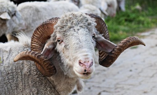 Дебютира нова модна колекция от вълна от...“гей кочове” СНИМКИ