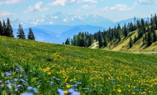 Пампорово откри летния туристически сезон