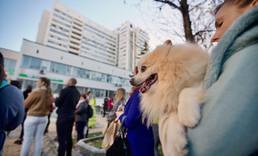  "Справедливост за Мая": Протестиращи поискаха по-строги наказания за македонския лекар СНИМКИ