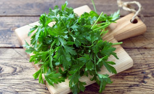 5 билки за здрави бъбреци