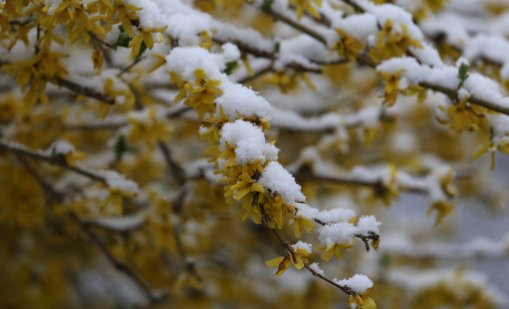 Времето утре: Ветровито, облачно с валежи от дъжд и сняг
