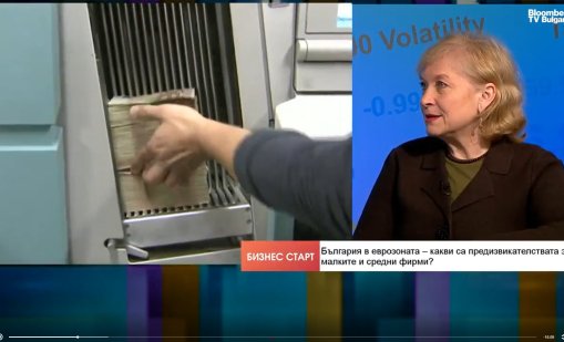 Негулова: Малкият бизнес изнесе голямата тежест в прехода към еврото