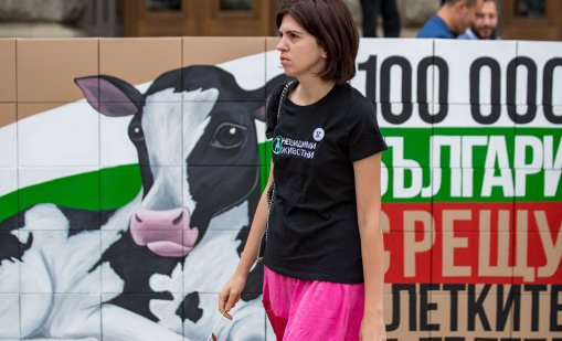 В кадър: Над 110 000 подписа срещу отглеждането на телета в клетки
