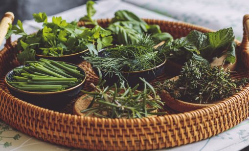 15 подправки, препоръчани от нутриционисти и диетолози