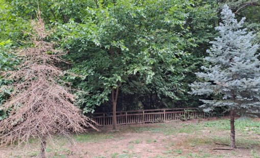 Очаква ни слънчев съботен ден, температурите до 16 градуса