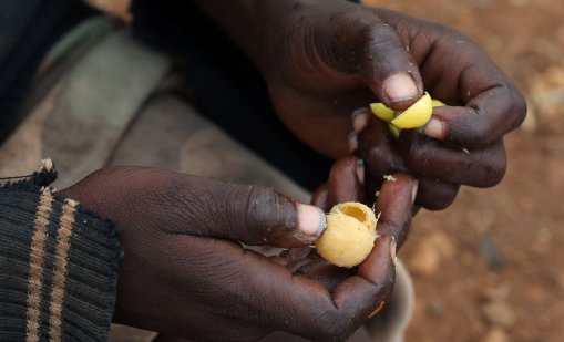 САЩ обеща милиарди на ООН за хуманитарна помощ, но иска и реформи