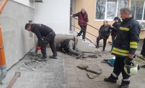 Зазидаха коте в блок в Бургас, строителите отказали да го спасят с дни ВИДЕО