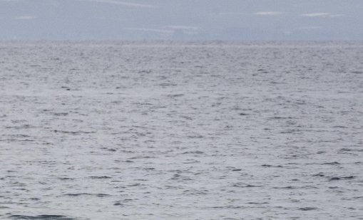 Мъж от София се удави в морето в Царево