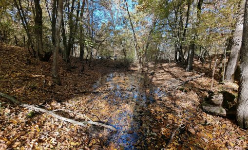 Слънчева събота с температури до 18 градуса