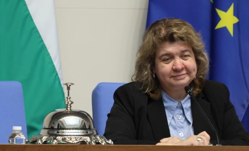 Киселова за еврото: В последните 2-3 месеца правителството прави немалко