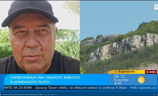 Малки са шансовете пантерата да бъде открита