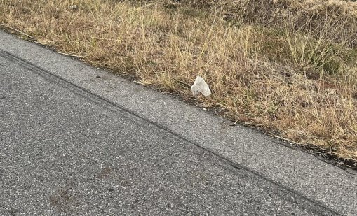 19-годишна шофьорка загина при катастрофа в Русенско