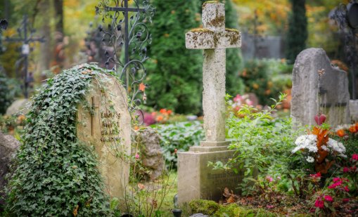 Защо поколението Z предпочита срещите в... гробища? 