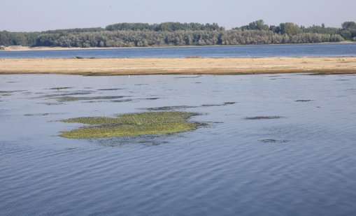 Дунав при Русе падна до минус 123 сантиметра