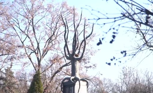 Историята помни: 24 г. от трагедията в дискотека &ldquo;Индиго&rdquo;