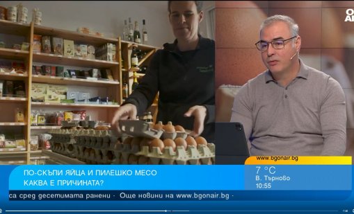 Родни птицевъди очакват пилешкото и яйцата да поскъпват още