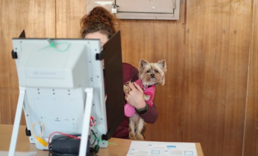 Дезинформация и социални мрежи: Как премина предизборната кампания?