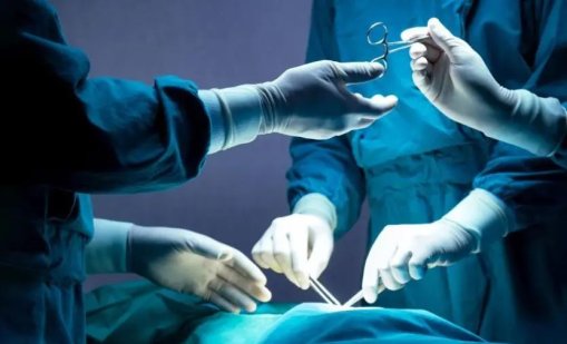 Мъж почина заразен от бяс след бъбречна трансплантация