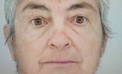 ПСС също се включва в издирването на жената от с. Ръжена