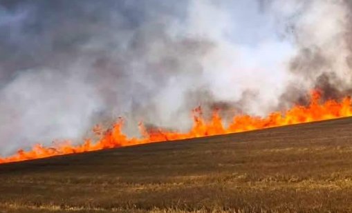 Хеликоптер се включи в гасенето на голям пожар край Брезово