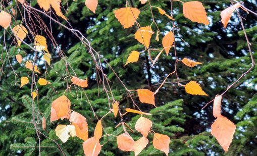 Слънчево ще е днес, с температури до 6&deg;