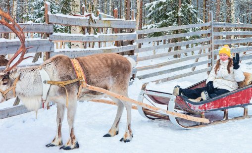  Полиция, брегова охрана и морски пехотинци издирваха северен елен