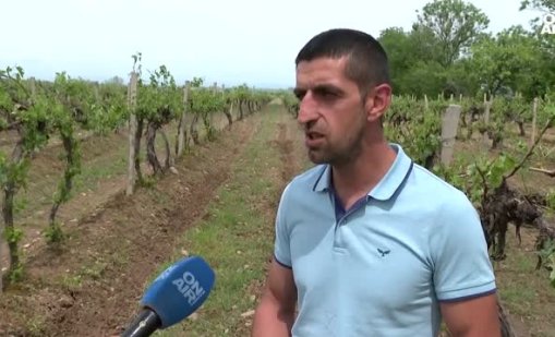 Градушката в Асеновградско нанесе щети за хиляди