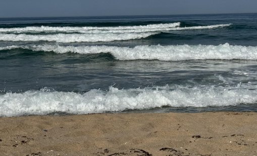 Стряскащо: Изплуваха трупове във Варна и Поморие тази сутрин