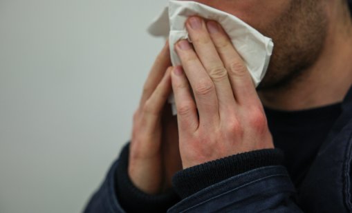 Вирусите Нимбу и Стратус циркулират у нас, ето какви са симптомите 