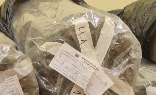 Откриха 8 кг марихуана и кокаин в блок в Бургас