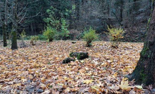 Студ в събота, валежите продължават на много места