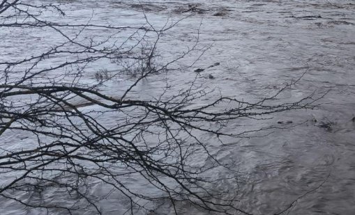 Вода от рудник е замърсила река Маданска