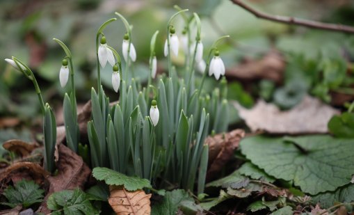 Денят започва със слънце, следобед отново ще завали дъжд