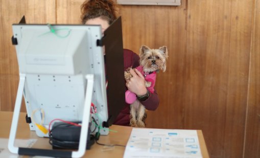 ЦИК:  12,12% избирателната активност в 11 ч., най-висока във Враца