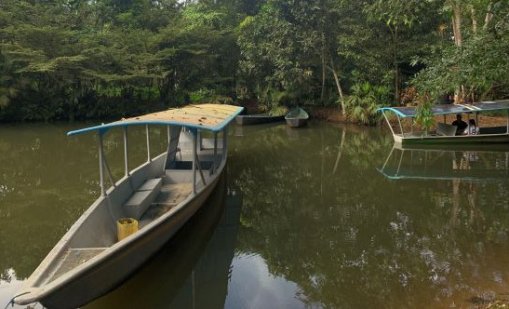 Зловещо: Намериха човешки глави на плаж и послание