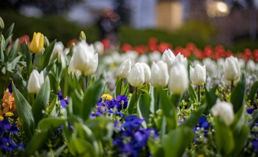 Слънчево време утре, минусови температури на места сутринта