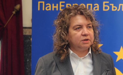 Киселова: ПП убеждаваха, че антикорупционната комисия да трябва има разследващи функции, а сега "берем плодовете"