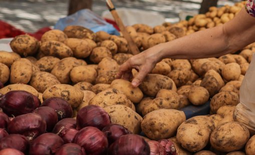 Турция замени Иран в снабдяването на Русия със зеленчуци и плодове