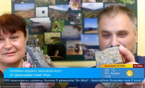 На 83 млн. години е откритата кост на динозавър край Трън