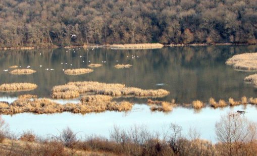 Обявиха нова защитена територия край река Студена 