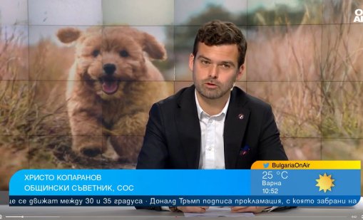 Зачестяват проверките: София затяга контрола над собствениците на кучета 