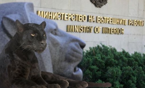 ВМРО: Държавата не може да хване една полудива котка, но ще ни пази от бандитите