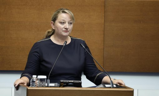 Сачева сезира Съвета на Европа за случая "Ива Михайлова"
