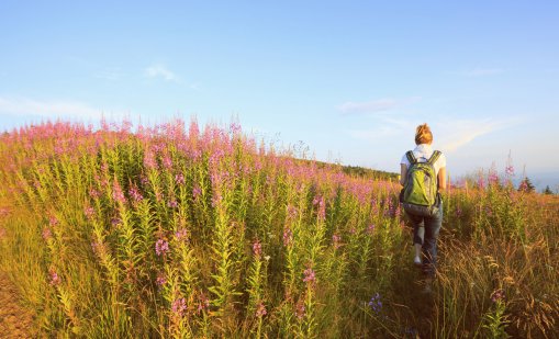 Слънцето преминава в Овен - как ще се отрази на вашата зодия?