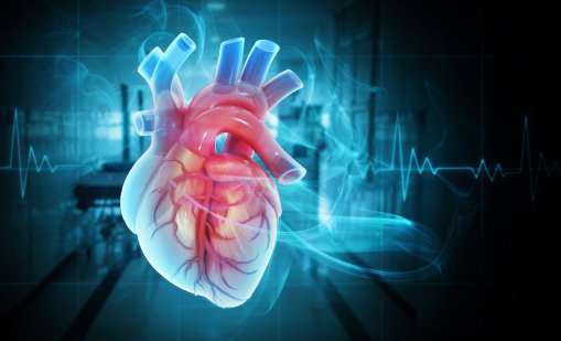 Кардиолог съветва какво да избягваме за здраво сърце