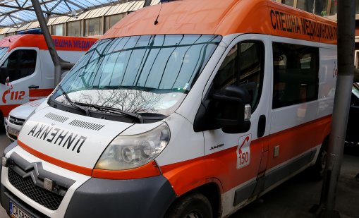 Домашно куче нахапа дете и две жени във Великотърновско