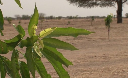 Проучване: 75% повече валежи в пустинята Сахара във втората половина на XXI век