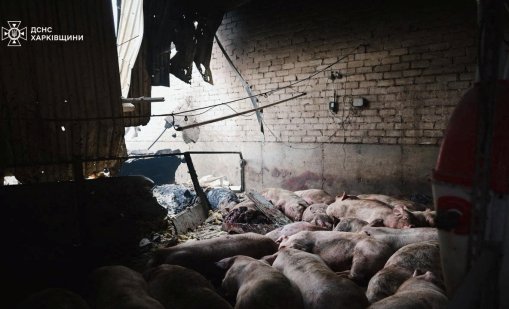 Русия и Украйна си размениха удари по енергийната си инфраструктура